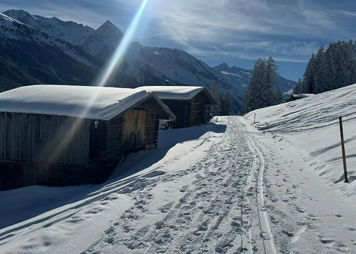 Daire Schoene Aussicht Tux